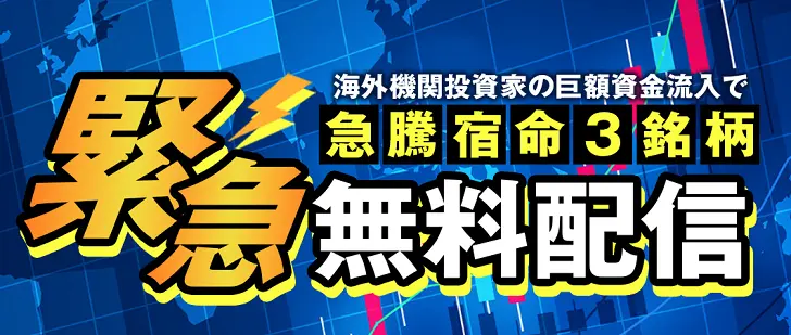 投資顧問バインテック